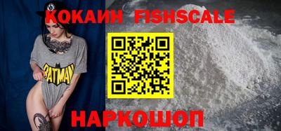 стафф Кингисепп
