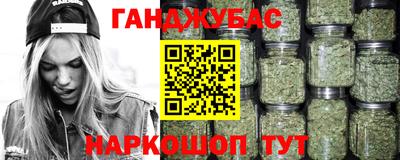 стафф Кингисепп