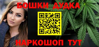 стафф Кингисепп