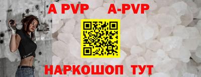 стафф Кингисепп