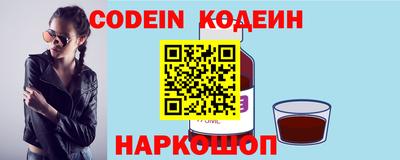 стафф Кингисепп