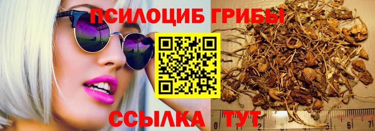 Псилоцибиновые грибы Cubensis  Вход с VPN  Зеленодольск 